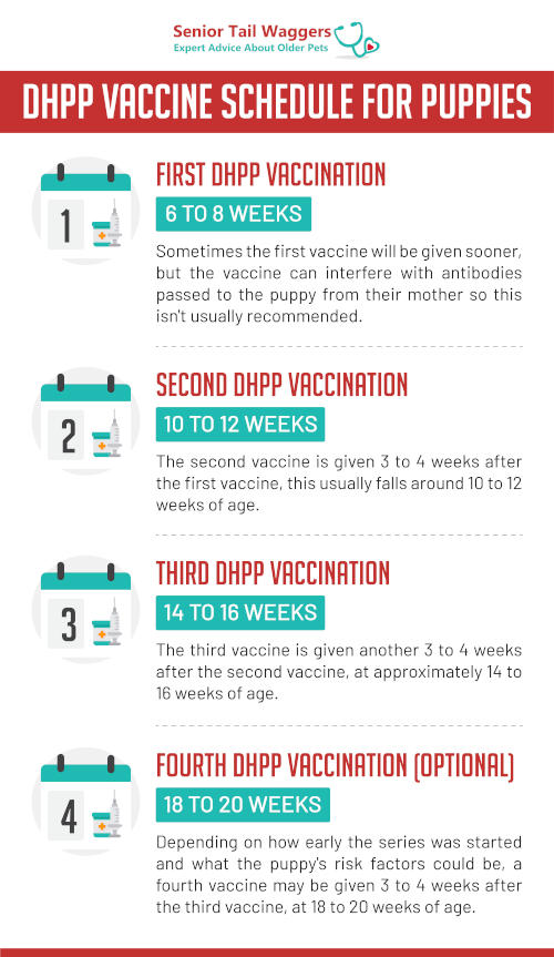 dhpp vaccine schedule for puppies