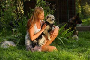 Dog Losing Balance & Falling: Our Vet Shares What to Do