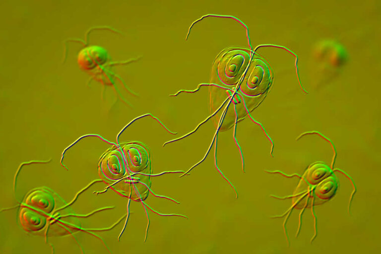 Pictures of Dog Poop With Giardia: 5 Vet-Reviewed Examples