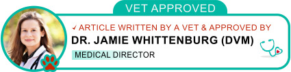 badge showing approval of our veterinarian director