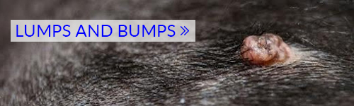 lumps and bumps