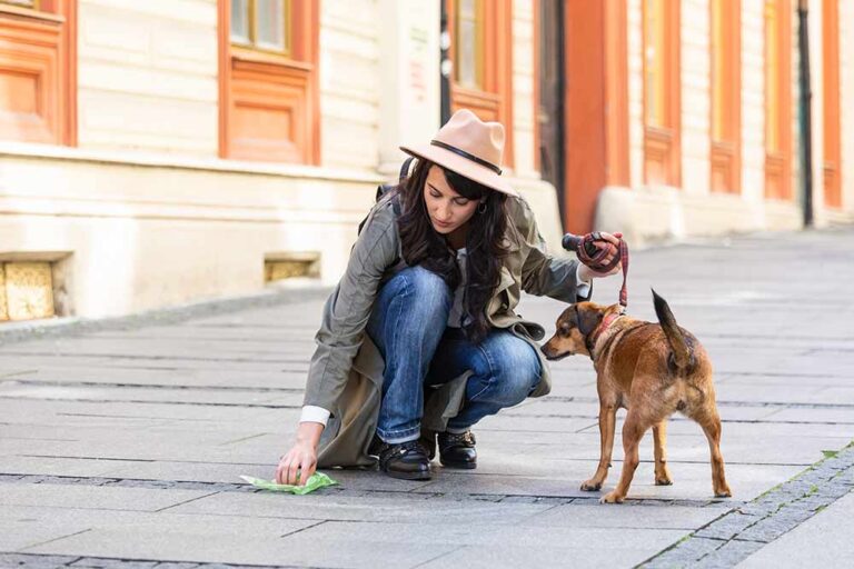 6 Causes of White Spots or Specks in Dog Poop [Pictures]