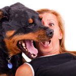 woman and dog with bad breath