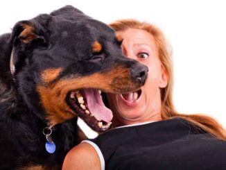 woman and dog with bad breath