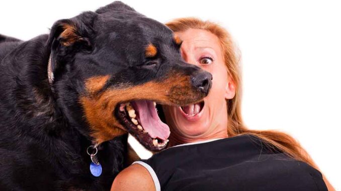 woman and dog with bad breath