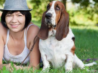 basset hound in park with middle-age woman