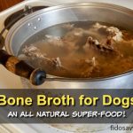 Bone Broth for Senior Dogs