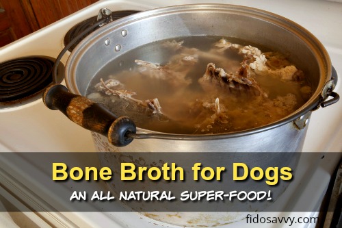 Making bone broth for dogs