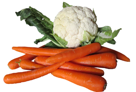 Carrots and cauliflower as diabetic dog treats