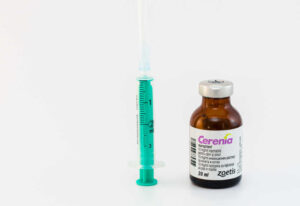 Can Cerenia be Fatal to Dogs? A Vet Explains Overdose Risks