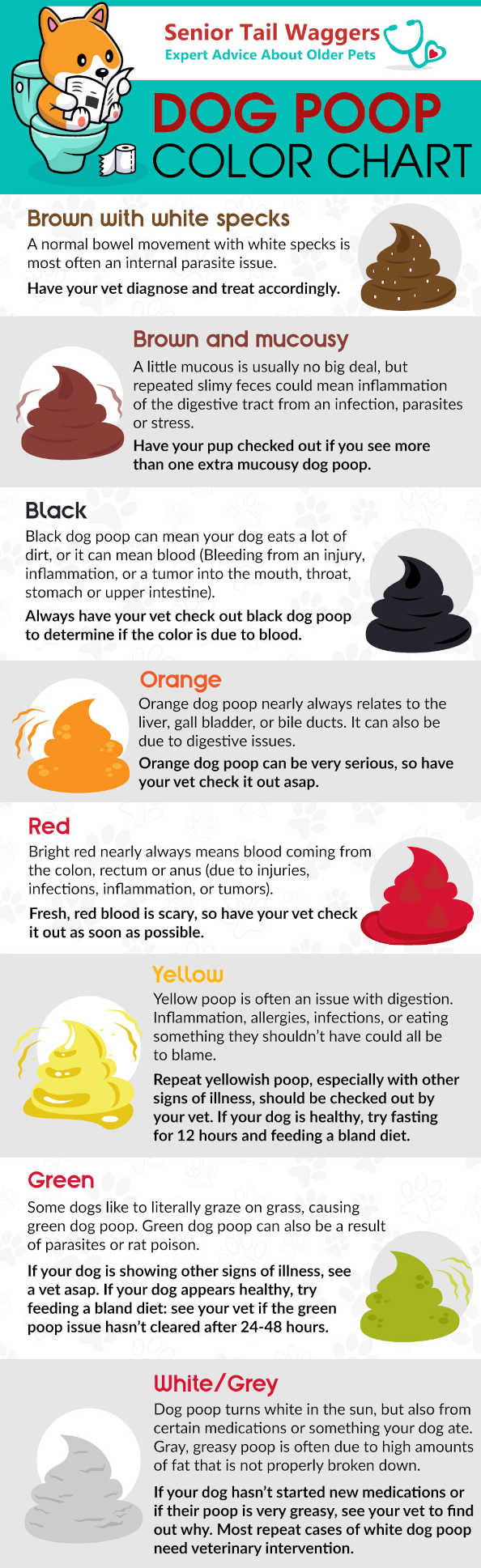 dog poop color chart find out what each color means - whats the scoop ...