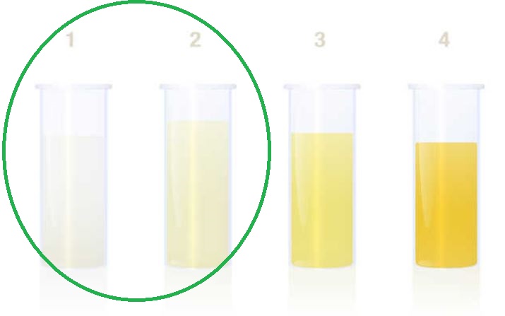 color chart showing when clear pee is a concern