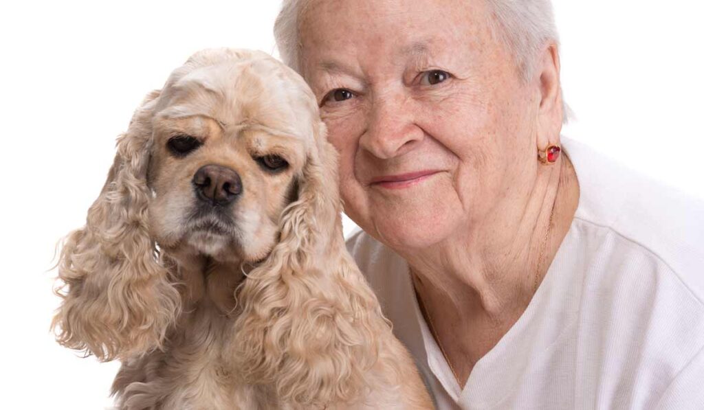 cocker spaniel dog with senior woman