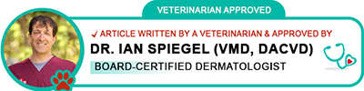 badge approved by dermatologist Dr. Spiegel