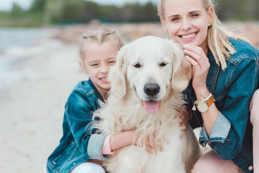 Dog active at beach with owner