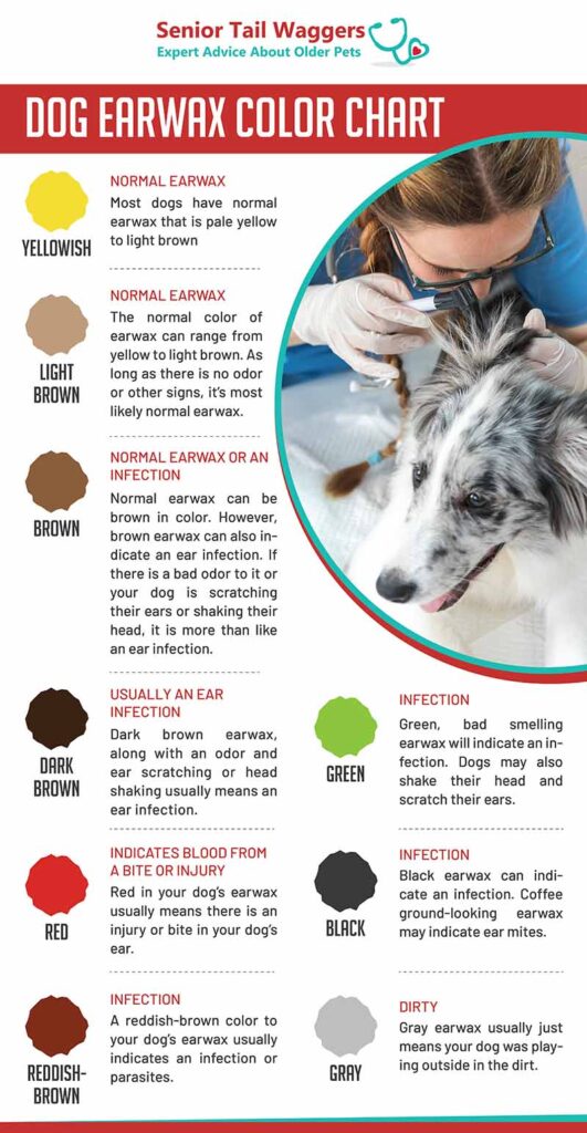 Dog Ear Wax Color Chart: When Color Can Indicate a Problem