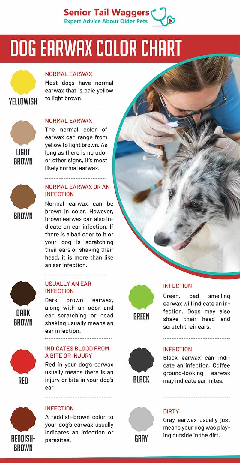 Dog Earwax Colour Chart Care Guide Barc London