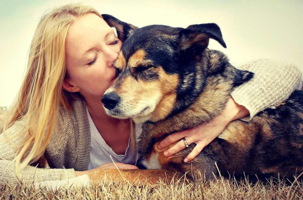 dog geting a kiss from owner