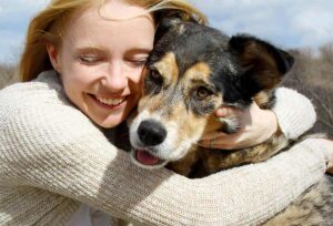Diabetes in Older Dogs