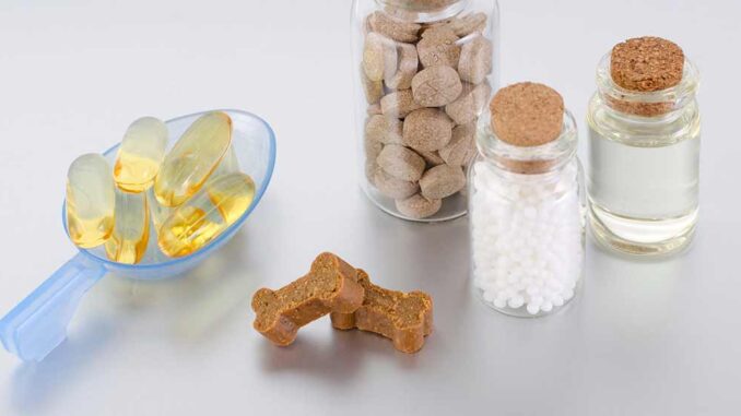 several supplements including bone-shaped items