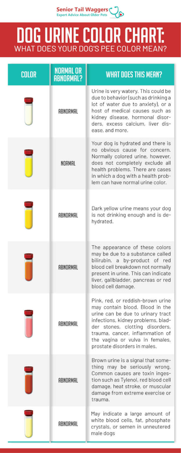 Dog Pee Color Chart What Abnormal Urine Colors Mean