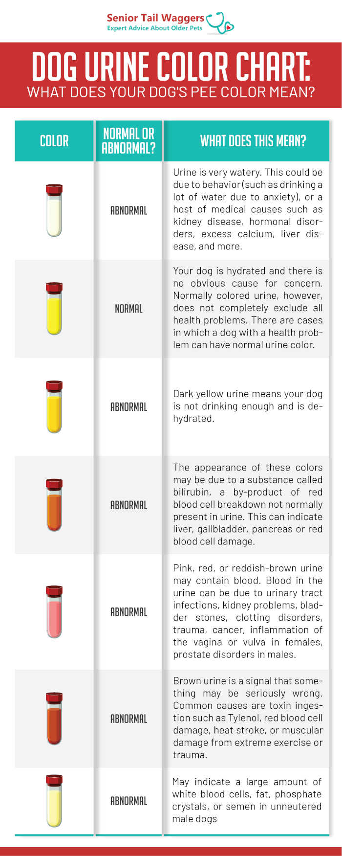 dog urine color chart