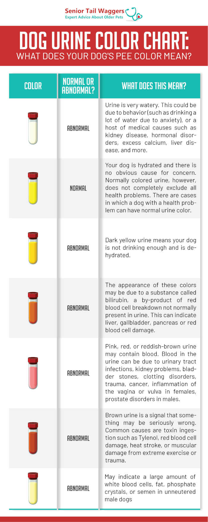 how yellow should a dogs urine be