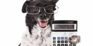 Calculator to Convert Dog Years to Human Years