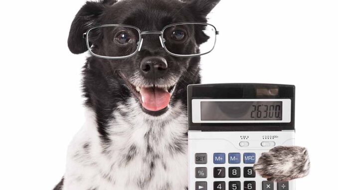 dog holding calculator