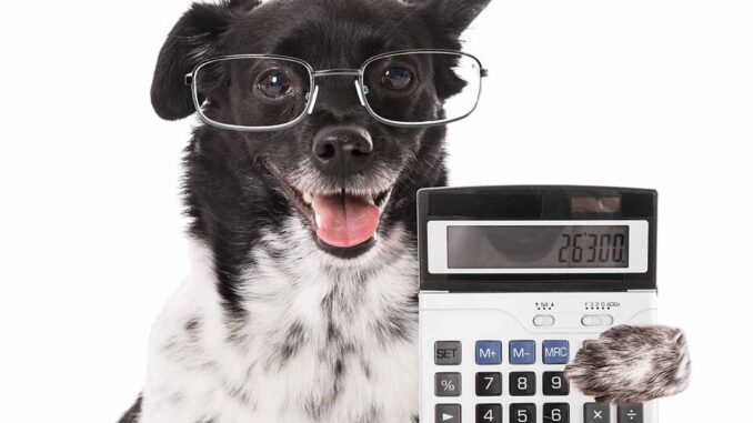 at ringe ugyldig Dæmon Calculator to Convert Dog Years to Human Years (Based on the Breed)