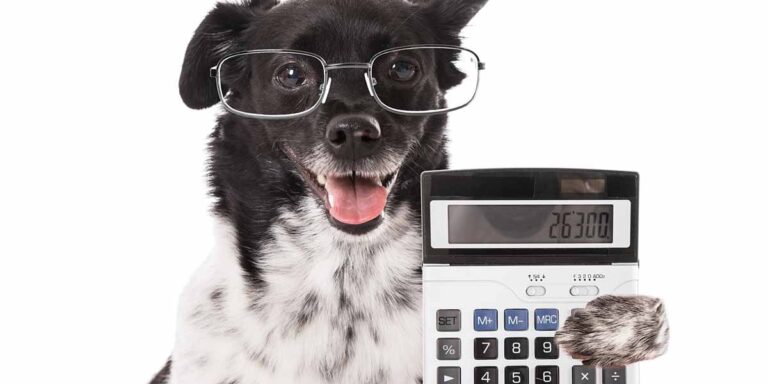 Calculator to Convert Dog Years to Human Years