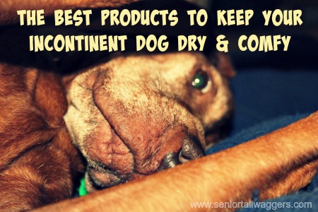 dog pee pads for older dogs