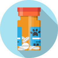dog supplements