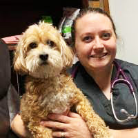 dr sara ochoa and a dog