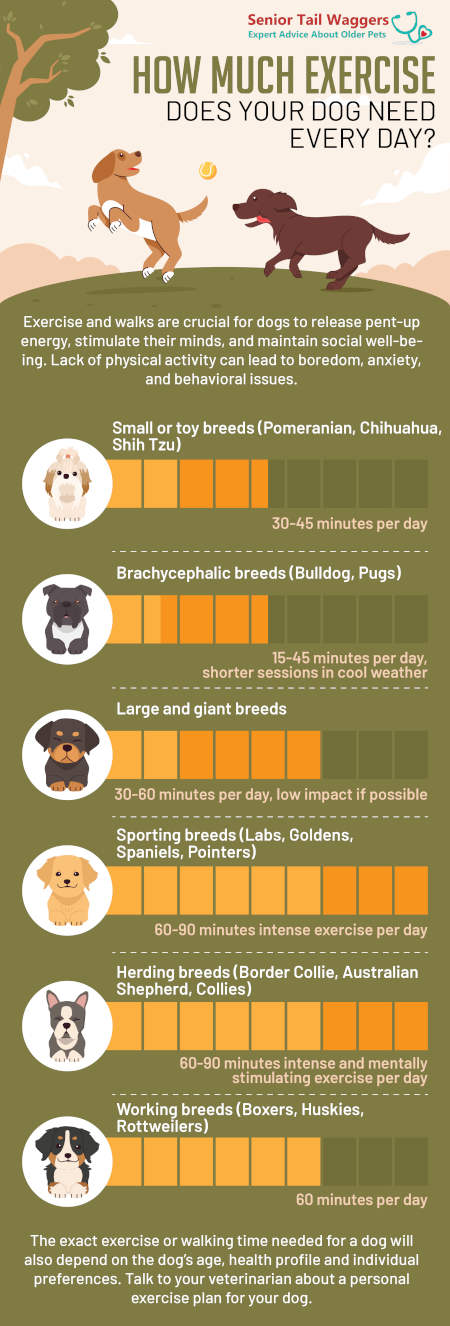 Infographics showing how much exercise different types of dog breeds need to stay happy and healthy