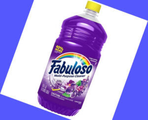 Is Fabuloso Safe for Dogs? A Veterinarian Explains
