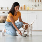 woman feeding her dog with a bowl in the kitchen