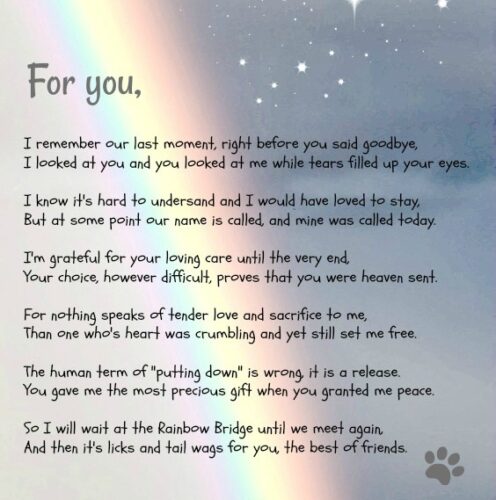 Rainbow Bridge poem from dog