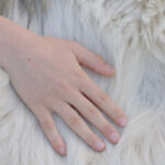 Bumps Under A Dog’s Fur: 5 Likely Reasons & What to Do