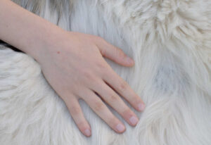 Bumps Under A Dog’s Fur: 5 Likely Reasons & What to Do