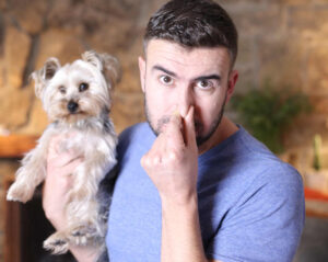 What To Do if Your Dog Has a Gurgling Stomach With Bad Gas