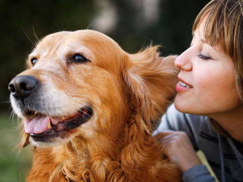 female dog owner affectionately whispering in her golden retriever's ears
