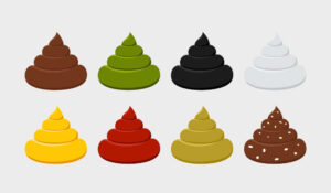 Dog Poop Color Chart: a Vet Explains the Meaning of Colors