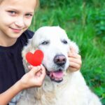 Heart Murmurs in Older Dogs: A Vet Explains