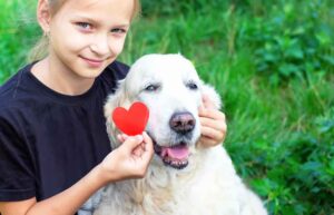 Heart Murmurs in Older Dogs: A Vet Explains