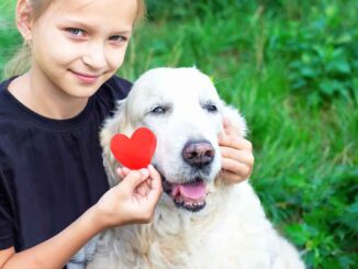 girl with her senior dog and a heart