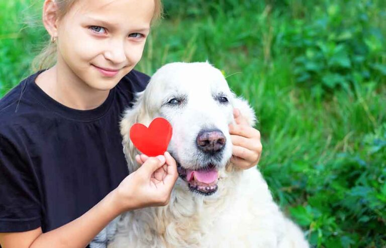 Heart Murmurs in Older Dogs: A Vet Explains