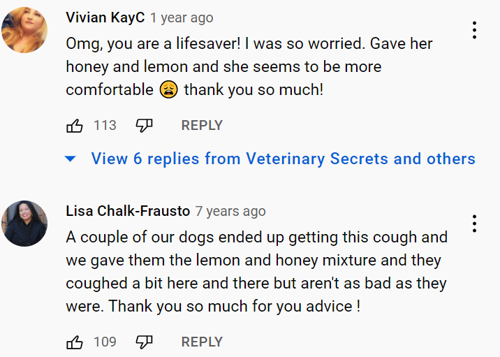 example user comments about using honey to help with a dog's cough