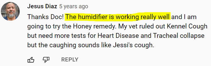user comment on how a humidifier helped their coughing dog