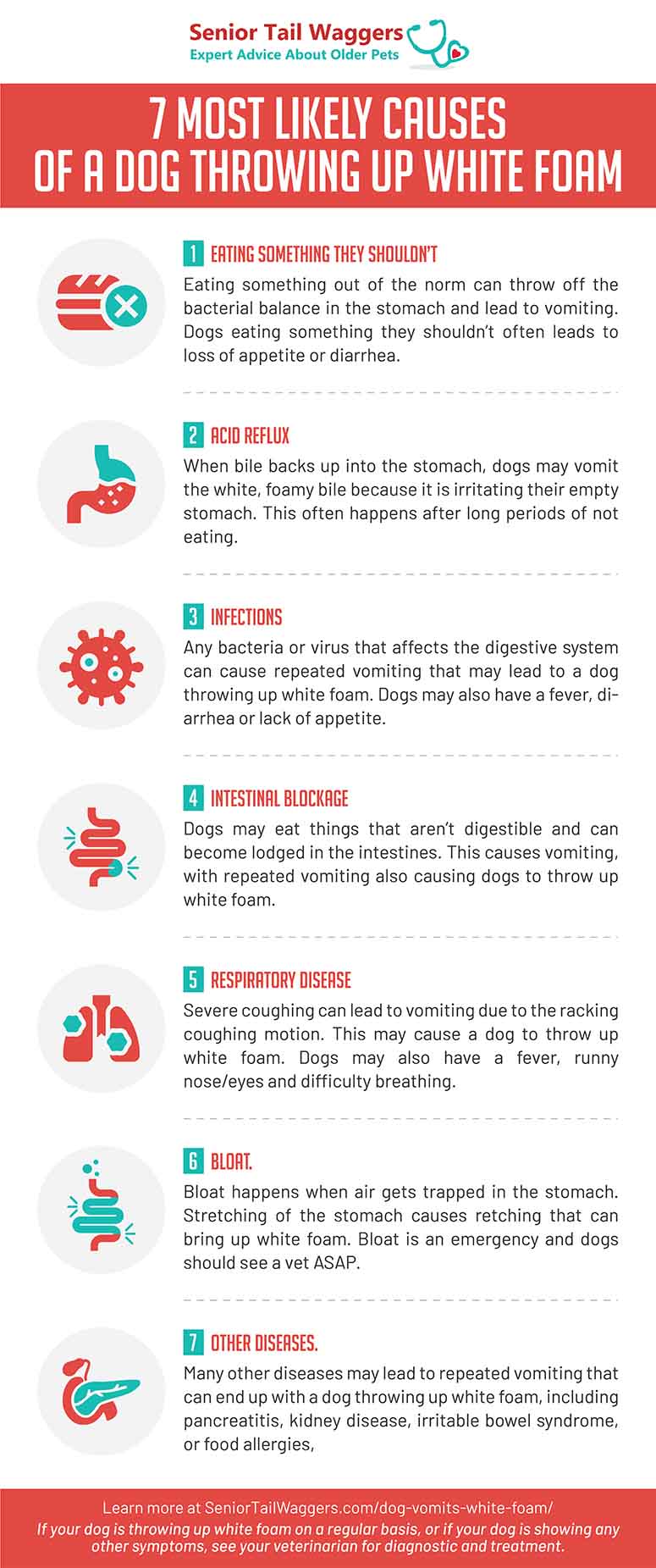 infographic summary showing the top reasons causing white foam vomiting in dogs